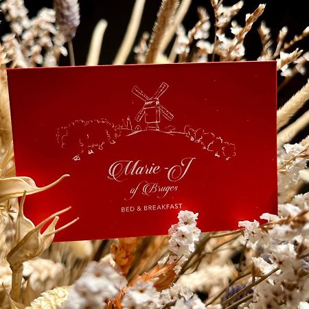B&B Marie-J Of Брюгге Экстерьер фото